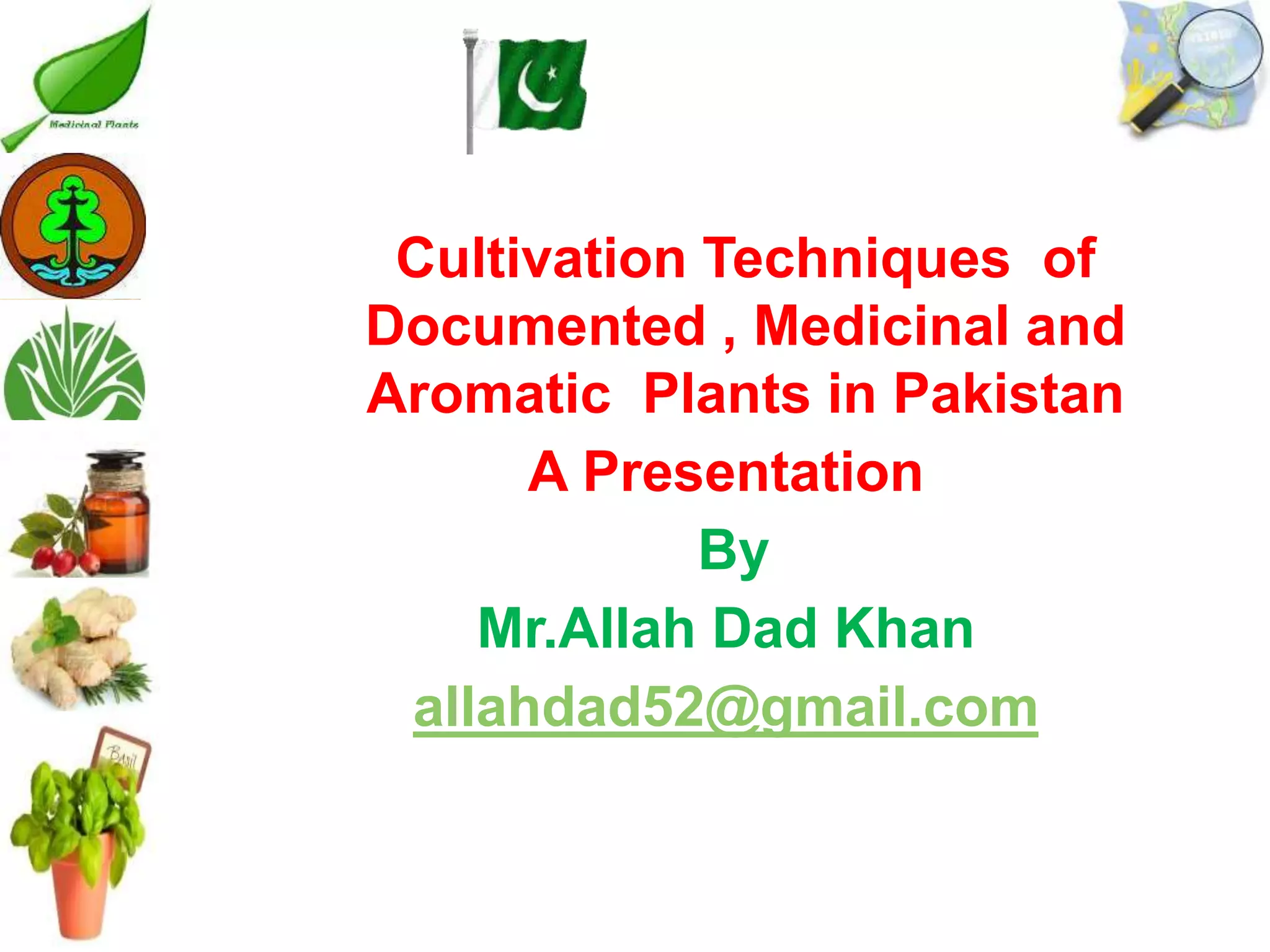 Medicinal plants cultivation In Pakistan A Presentation By Mr Allah Dad ...