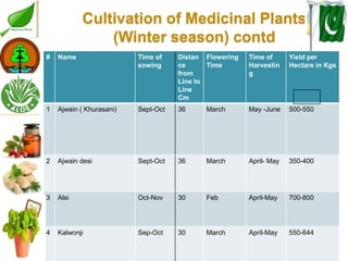 Medicinal plants cultivation In Pakistan A Presentation By Mr Allah Dad ...