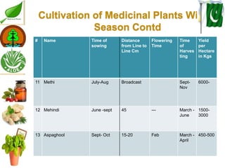 Medicinal plants cultivation In Pakistan A Presentation By Mr Allah Dad ...