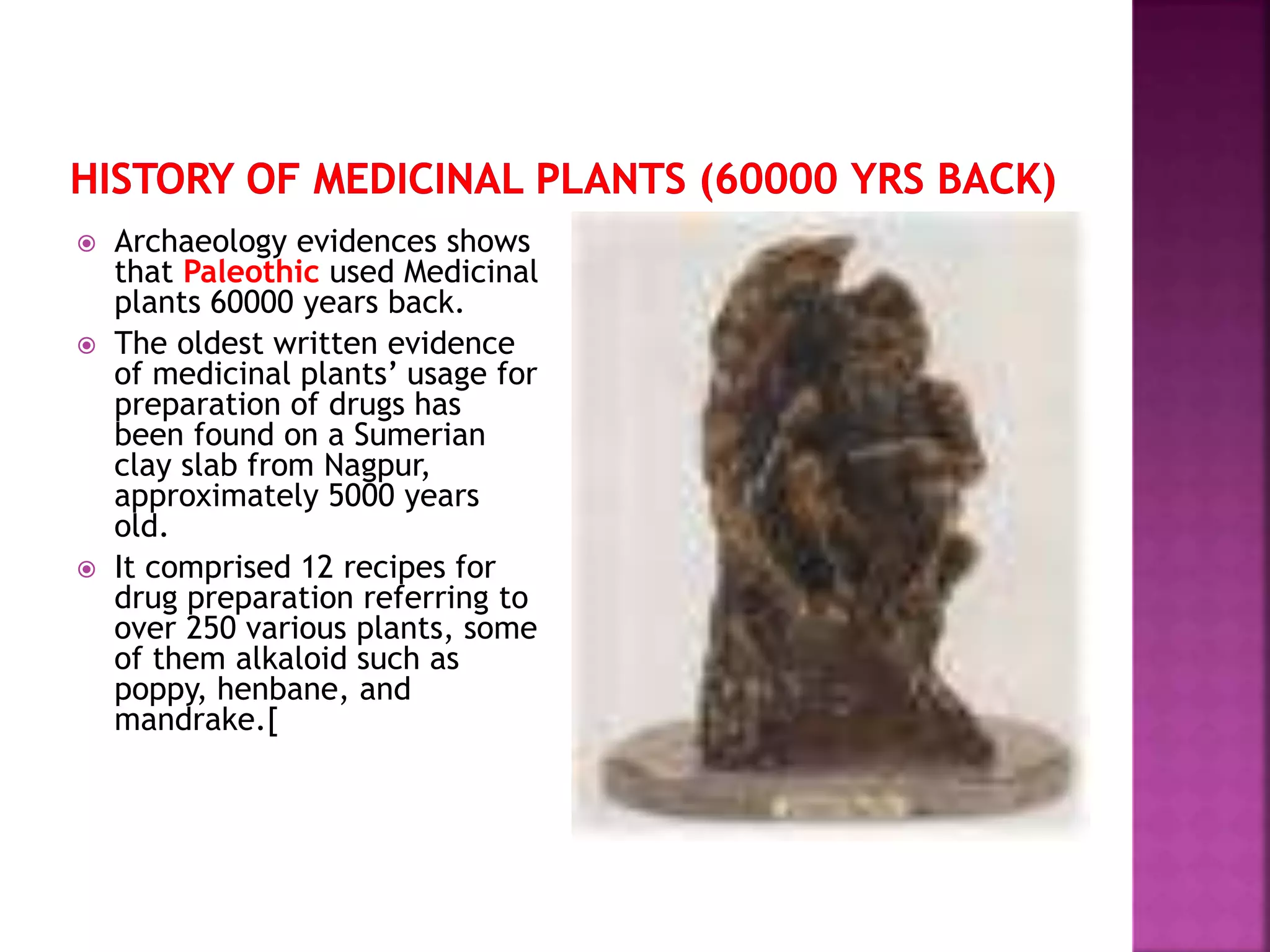 Medicinal plants history A Lecture By Mr Allah Dad Khan Former DG ...