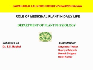 JAWAHARLAL LAL NEHRU KRISHI VISHWAVIDHYALAYA
ROLE OF MEDICINAL PLANT IN DAILY LIFE
DEPARTMENT OF PLANT PHYSIOLOGY
Submitted To Submitted By
Dr. S.S. Baghel Satyendra Thakur
Supriya Debnath
Mrunal Ghogare
Rohit Kumar
 