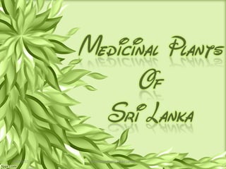 09/30/12   Medicinal Plants Of Sri Lanka   1
 