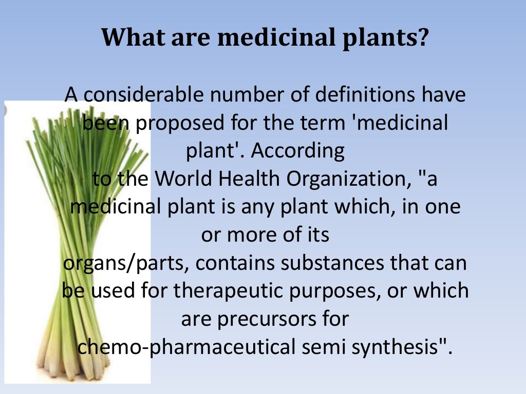 Medicinal plants importance,scope and uses.