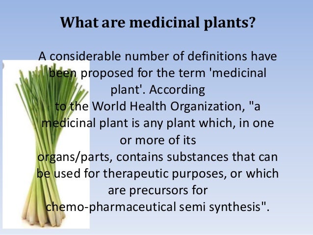 essay about medicinal plants