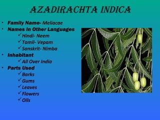 Medicinal Plants & Uses 2015 Latest Updates | PPT