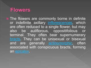 Medicinal plant systematics i | PPTX