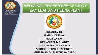 MEDICINAL PROPERTIES OF GILOY ,
BAY LEAF AND HEENA PLANT
PRESENTED BY :
SAMIKSHYA JENA
PREETI SOREN
SUBHASHREE MOHANTY
DEPARTMENT OF ZOOLOGY
SCHOOL OF APPLIED SCIENCES
GUIDED BY: Dr. PREETHA BHADRA
 