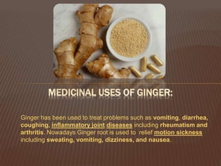 Ginger has been used to treat problems such as vomiting, diarrhea,
coughing, inflammatory joint diseases including rheumatism and
arthritis. Nowadays Ginger root is used to relief motion sickness
including sweating, vomiting, dizziness, and nausea.
MEDICINAL USES OF GINGER:
 