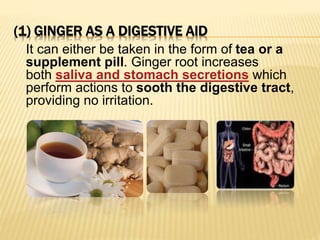 Medicinal uses of ginger Slide 2