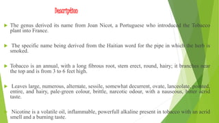 medicinal properties of tobacco Medicinal uses of tobacco