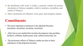 chemical constituents of tobacco Medicinal uses of tobacco