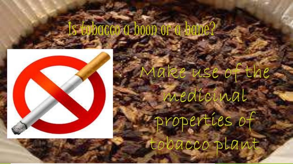 Medicinal uses of tobacco