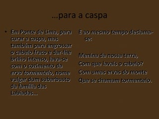 …para a caspa Em Ponte de Lima, para curar a caspa, mas também para engrossar o cabelo fraco e dar-lhe brilho intenso, lava-se com o cozimento da  erva tormentelo , nome vulgar dum subarbusto da família das Labiadas… E ao mesmo tempo declama-se: Menina da nossa terra, Com que lavais o cabelo? Com umas ervas do monte Que se chamam tormentelo.   