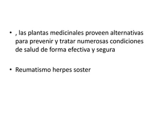 • , las plantas medicinales proveen alternativas
  para prevenir y tratar numerosas condiciones
  de salud de forma efectiva y segura

• Reumatismo herpes soster
 