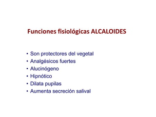 Funciones fisiológicas ALCALOIDES


•   Son protectores del vegetal
•   Analgésicos fuertes
•   Alucinógeno
•   Hipnótico
•   Dilata pupilas
•   Aumenta secreción salival
 