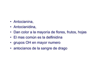 •   Antocianina,
•   Antocianidina,
•   Dan color a la mayoría de flores, frutos, hojas
•   El mas común es la delfinidina
•   grupos OH en mayor numero
• antocianos de la sangre de drago
 