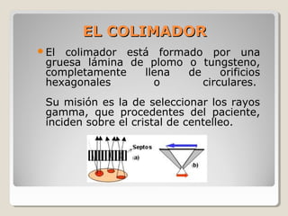 EL COLIMADOREL COLIMADOR
El colimador está formado por una
gruesa lámina de plomo o tungsteno,
completamente llena de orificios
hexagonales o circulares.
Su misión es la de seleccionar los rayos
gamma, que procedentes del paciente,
inciden sobre el cristal de centelleo.
 