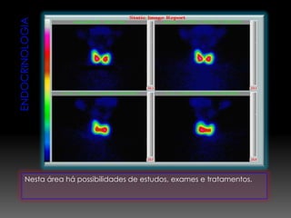 Nesta área há possibilidades de estudos, exames e tratamentos.
 