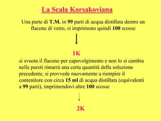 La Scala Korsakoviana
 Una parte di T.M. in 99 parti di acqua distillata dentro un
    flacone di vetro, si imprimono quindi 100 scosse



                         1K
si svuota il flacone per capovolgimento e non lo si cambia
nelle pareti rimarrà una certa quantità della soluzione
precedente, si provvede nuovamente a riempire il
contenitore con circa 15 ml di acqua distillata (equivalenti
a 99 parti), imprimendovi altre 100 scosse



                           2K
 