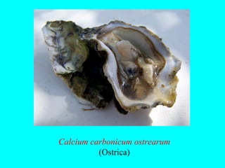 Calcium carbonicum ostrearum
          (Ostrica)
 