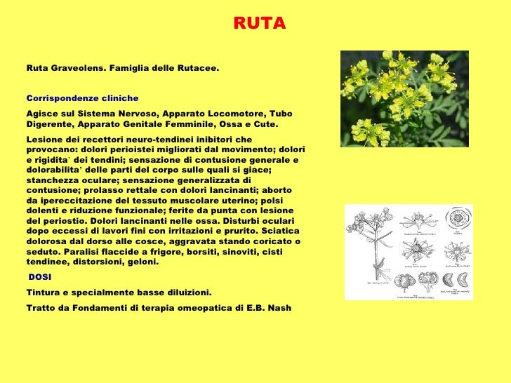 Medicina omeopatica (di dio)