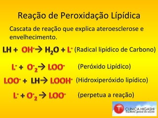 Reação de Peroxidação Lípídica Cascata de reação que explica ateroesclerose e envelhecimento.  (Radical lipídico de Carbono) (Peróxido Lipídico) (Hidroxiperóxido lipídico) (perpetua a reação) 