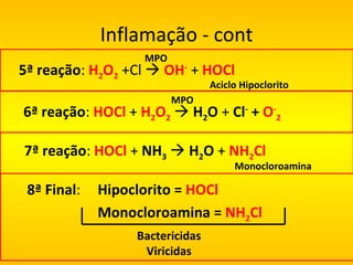 Inflamação - cont 5ª reação :  H 2 O 2  +Cl     OH -   +  HOCl MPO Aciclo Hipoclorito 6ª reação :  HOCl  +  H 2 O 2      H 2 O  +  Cl -  +  O - 2 MPO 7ª reação :  HOCl  +   NH 3      H 2 O  +  NH 2 Cl Monocloroamina 8ª Final :  Hipoclorito =  HOCl Monocloroamina =  NH 2 Cl Bactericidas Viricidas 