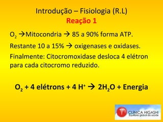 Introdução – Fisiologia (R.L) Reação 1 O 2    Mitocondria    85 a 90% forma ATP. Restante 10 a 15%    oxigenases e oxidases. Finalmente: Citocromoxidase desloca 4 elétron para cada citocromo reduzido.  O 2  + 4 elétrons + 4 H +     2H 2 O + Energia 