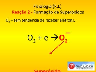 Fisiologia (R.L)  Reação 2 -  Formação de Superóxidos O 2  – tem tendência de receber elétrons. O 2  + e   O 2  Superóxido   