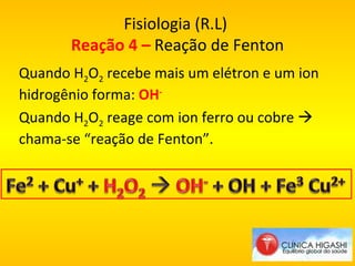 Fisiologia (R.L)  Reação 4 –  Reação de Fenton Quando H 2 O 2  recebe mais um elétron e um ion hidrogênio forma:  OH -   Quando H 2 O 2  reage com ion ferro ou cobre    chama-se  “reação de Fenton”. 