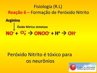 Fisiologia (R.L)  Reação 6 –  Formação de Peróxido Nitrito Peróxido Nitrito é tóxico para  os neurônios Óxido Nítrico sintetase 