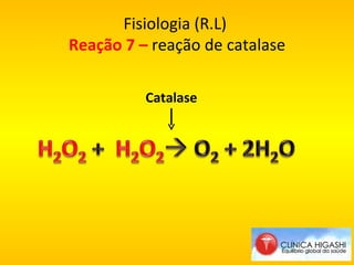 Fisiologia (R.L)  Reação 7 –  reação de catalase Catalase 