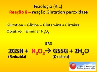 Fisiologia (R.L)  Reação 8 –  reação Glutation peroxidase Glutation = Glicina + Glutamina + Cisteina Objetivo = Eliminar H 2 O 2 GRX (Reduzida) (Oxidada) 