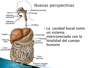  La cavidad bucal como
un sistema
interconectado con la
totalidad del cuerpo
humano
H
 