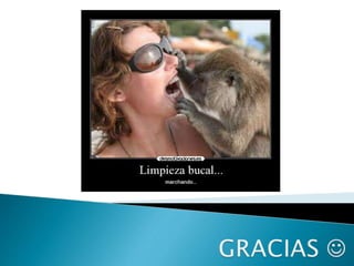 Medicina periodontal