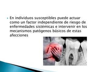  En individuos susceptibles puede actuar
como un factor independiente de riesgo de
enfermedades sistémicas e intervenir en los
mecanismos patógenos básicos de estas
afecciones
 