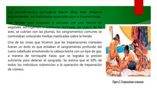 Los procedimientos quirúrgicos fueron altos, eran cirujanos
sorprendentes, con habilidades especiales para la traumatología.
Las heridas eran limpiadas y cerradas con una mezcla de
vegetales astringentes, o sustancias derivadas del huevo de las
aves, se cubrían con las plumas, los sangramientos comunes se
controlaban colocando hierbas masticadas sobre la herida.
Una de las cosas que hicieron que las trepanaciones craneales
fueran un éxito es que evitaban el sangramiento profundo del
cuero cabelludo envolviendo la cabeza hecha con un tipo de gas,
a manera de torniquete hasta que se lograba la presión
suficiente para detener el sangrado. Se estima que el 50% de
todos los individuos sobrevivían a la operación de trepanación
de cráneos.
 
