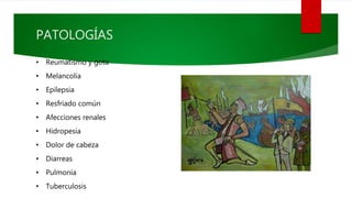 PATOLOGÍAS
• Reumatismo y gota
• Melancolía
• Epilepsia
• Resfriado común
• Afecciones renales
• Hidropesía
• Dolor de cabeza
• Diarreas
• Pulmonía
• Tuberculosis
 