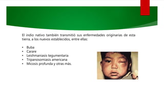 El indio nativo también transmitió sus enfermedades originarias de esta
tierra, a los nuevos establecidos, entre ellas:
• Buba
• Carare
• Leishmaniasis tegumentaria
• Tripanosomiasis americana
• Micosis profunda y otras más.
 