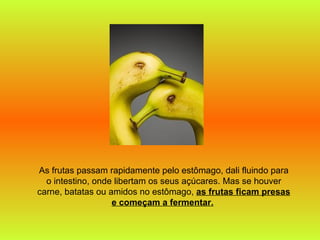 As frutas passam rapidamente pelo estômago, dali fluindo para o intestino, onde libertam os seus açúcares. Mas se houver carne, batatas ou amidos no estômago,  as frutas ficam presas e começam a fermentar.   