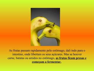 As frutas passam rapidamente pelo estômago, dali indo para o intestino, onde libertam os seus açúcares. Mas se houver carne, batatas ou amidos no estômago,  as frutas ficam presas e começam a fermentar.   