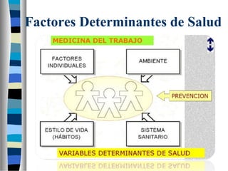 Factores Determinantes de Salud
 
