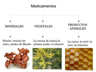 Medicamentos

   MINERALES

   VEGETALES

           PRODUCTOS  
             ANIMALES

Natrón, trocitos de 
La resina de acacia,la 
cobre, piedra de Menfis cebada asada, el cilantro

La carne, la miel ,la 
cera ,la telaraña.

 
