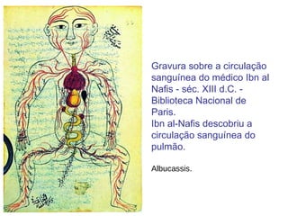 Gravura sobre a circulação sanguínea do médico Ibn al Nafis - séc. XIII d.C. - Biblioteca Nacional de Paris. Ibn al-Nafis descobriu a circulação sanguínea do pulmão. Albucassis. 