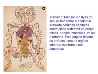 Trabalho: Mansur ibn Ilyas do século XlV sobre a anatomia ilustrada,continha capítulos sobre cinco sistemas do corpo: ossos, nervos, músculos, veias e artérias. Esta página mostra as artérias, com os órgãos internos mostrados em aquarelas 