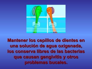 Mantener los cepillos de dientes en una solución de agua oxigenada, los conserva libres de las bacterias que causan gengivitis y otros problemas bucales. 