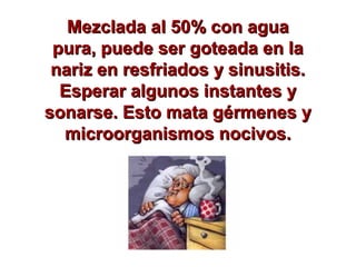 Mezclada al 50% con aguaMezclada al 50% con agua
pura, puede ser goteada en lapura, puede ser goteada en la
nariz en resfriados y sinusitis.nariz en resfriados y sinusitis.
Esperar algunos instantes yEsperar algunos instantes y
sonarse. Esto mata gérmenes ysonarse. Esto mata gérmenes y
microorganismos nocivos.microorganismos nocivos.
 