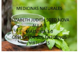 MEDICINAS NATURALES
ELIZABETH JUDITH SOTO NOVA
AULA 5
MAESTRIA 3.0
GESTION DE LOS ENTORNOS
VIRTUALES
S
 