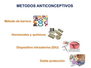 METODOS ANTICONCEPTIVOS 
Hormonales y químicos 
Dispositivo intrauterino (DIU) 
Doble protección 
Método de barrera 
 