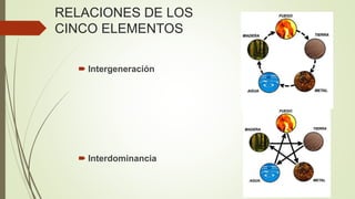 RELACIONES DE LOS
CINCO ELEMENTOS
 Intergeneración
 Interdominancia
 